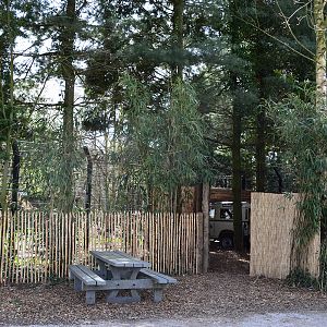 New cheetah enclosure