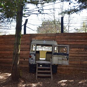 New cheetah enclosure