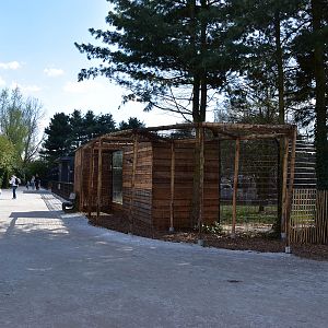 New cheetah enclosure