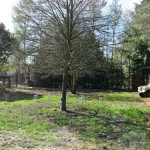 New cheetah enclosure