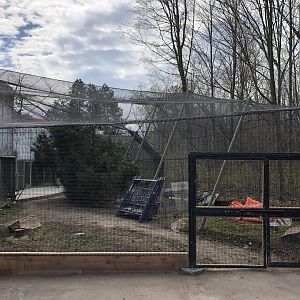 Australasia Outdoor Aviary