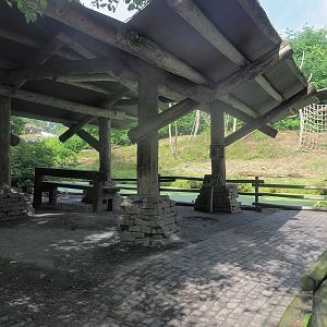 Western lowland gorilla and Black crested mangabey island viewing area, 2022-08-20