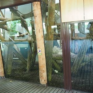 Western lowland gorilla and Black crested mangabey indoor exhibit, 2022-08-20