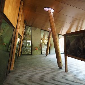 Gorilla building gallery - Gorilla viewing areas, 2022-08-20