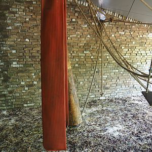 Animal shelter under the roof of the gorilla building, 2022-08-20