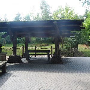 Mountain bongo paddock and viewing area, 2022-08-20