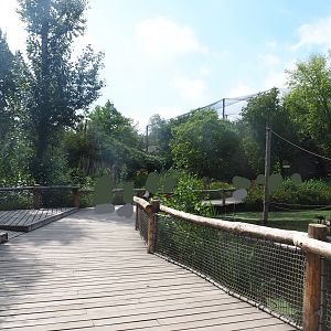 Boardwalk in South American primate and capybara area, 2022-08-20