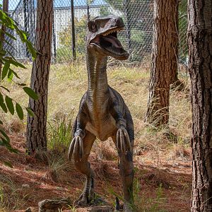 Velociraptor model