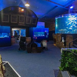 Aquarium interior
