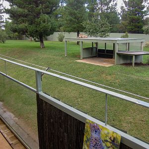 Cheetah enclosure