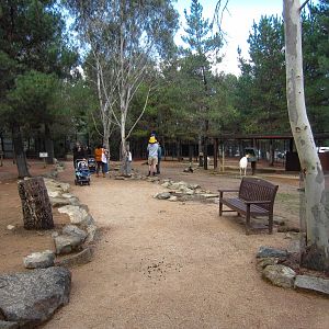 Deer & Llama walkthrough