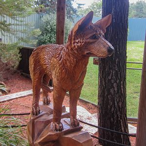 Dingo statue
