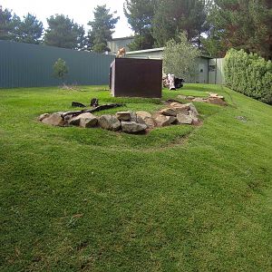 Dingo enclosure