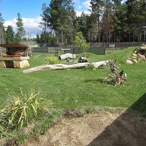 Hairy-nosed Wombat enclosure