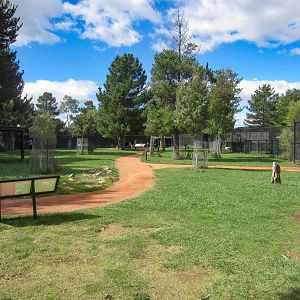 Macropod Walkthrough