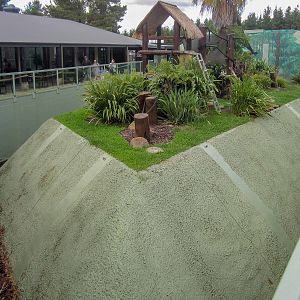 Ringtail Lemur exhibit