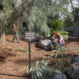 People ignoring the signs.