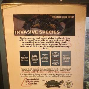Red-eared Slider signage