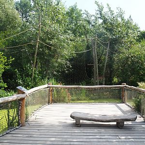 Red-faced black spider monkey island viewing area, 2022-08-20