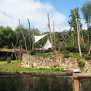 Yellow-breasted capuchin and capybara exhibit, 2022-08-20