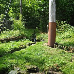 Giant anteater and Azara's agouti exhibit (Within Puna South American aviary), 2022-08-20