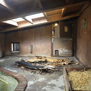 Giant anteater indoor exhibit, 2022-08-20