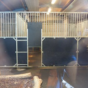 Capybara indoor paddocks, 2022-08-20