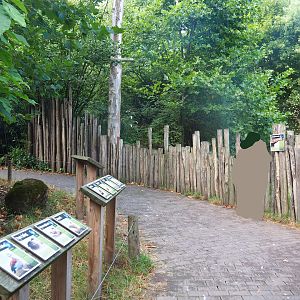 Giant anteater and Azara's agouti viewing  area in Puna South American aviary, 2022-08-20