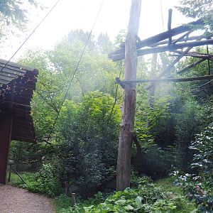 Part of Puna South American aviary with access doors, 2022-08-20