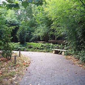 Walkway in the Puna South American aviary, 2022-08-20