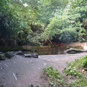 Puna South American aviary - Pond, 2022-08-20