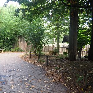 Puna South American aviary, 2022-08-20