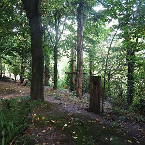 Puna South American aviary, 2022-08-20