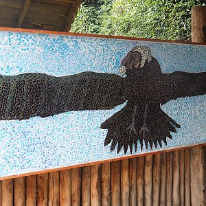 Andean condor mosaic, 2022-08-20