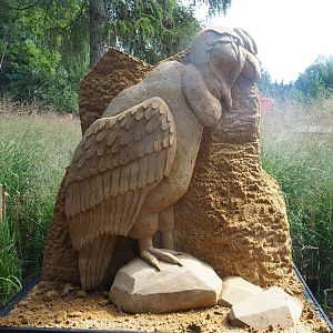 "Zoo of Sand" event - Andean condor sand sculpture, 2022-08-20