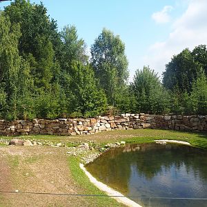 Part of Pampas exhibit with Vicuña, Darwin's rhea and Lowland tapir, 2022-08-20