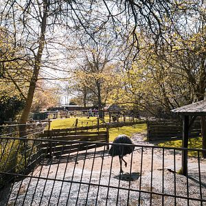 Australia walktrough