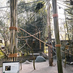 Australia walktrough