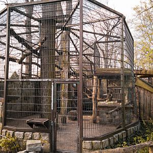 Baboon cage (Papio anubis)