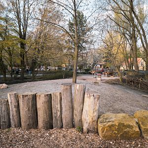 Rhea, Llama and Guanako