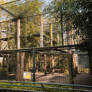 Mountain Lion enclosure