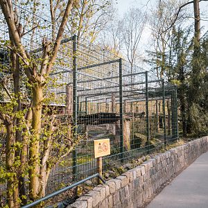 Tiger enclosure