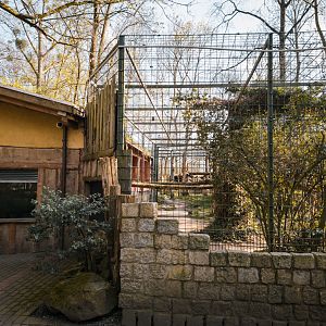 Tiger enclosure with indoor area