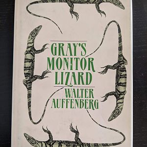 Gray's monitor lizard