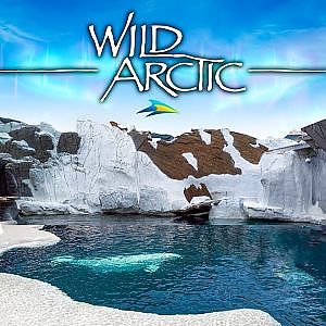 Wild Arctic | Zoo Tours