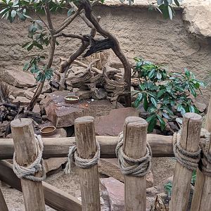 Ground Squirrel and Dwarf Mongoose Enclosure