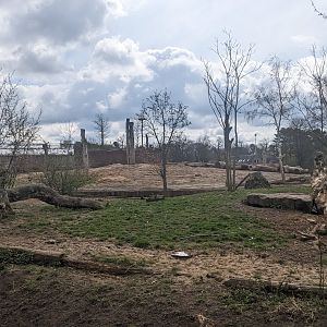 Outdoor African Elephant Enclosure