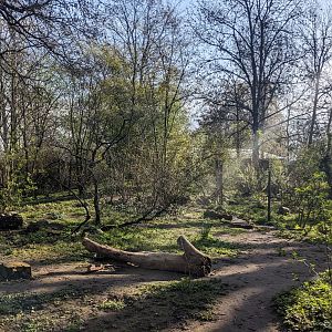Giant Anteater Enclosure
