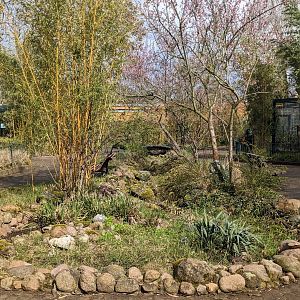 Parrot & Tamarin Exhibit Overview