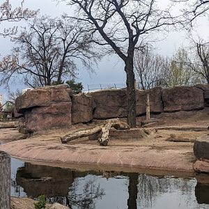 Gelada, Nubian Ibex and Rock Hyrax Enclosure.